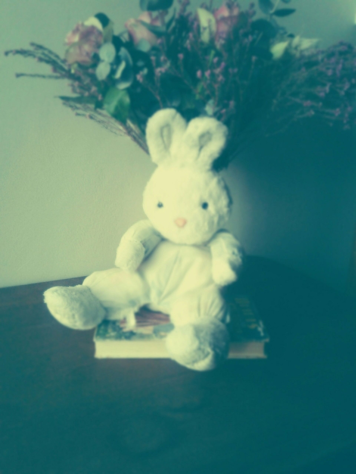 Little fuzzy bunny