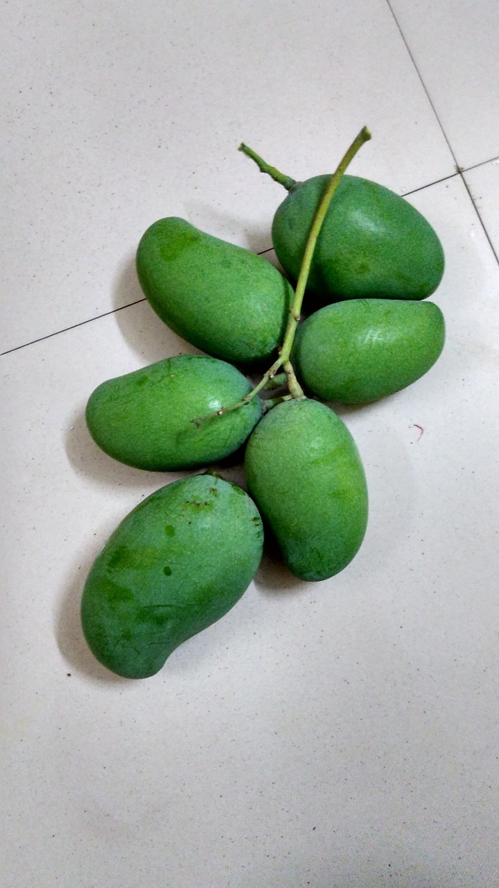 Mango