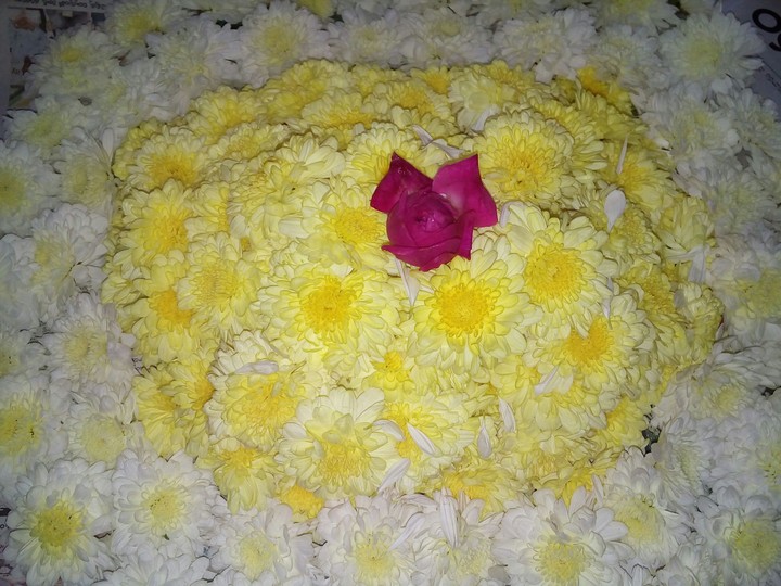 flowers