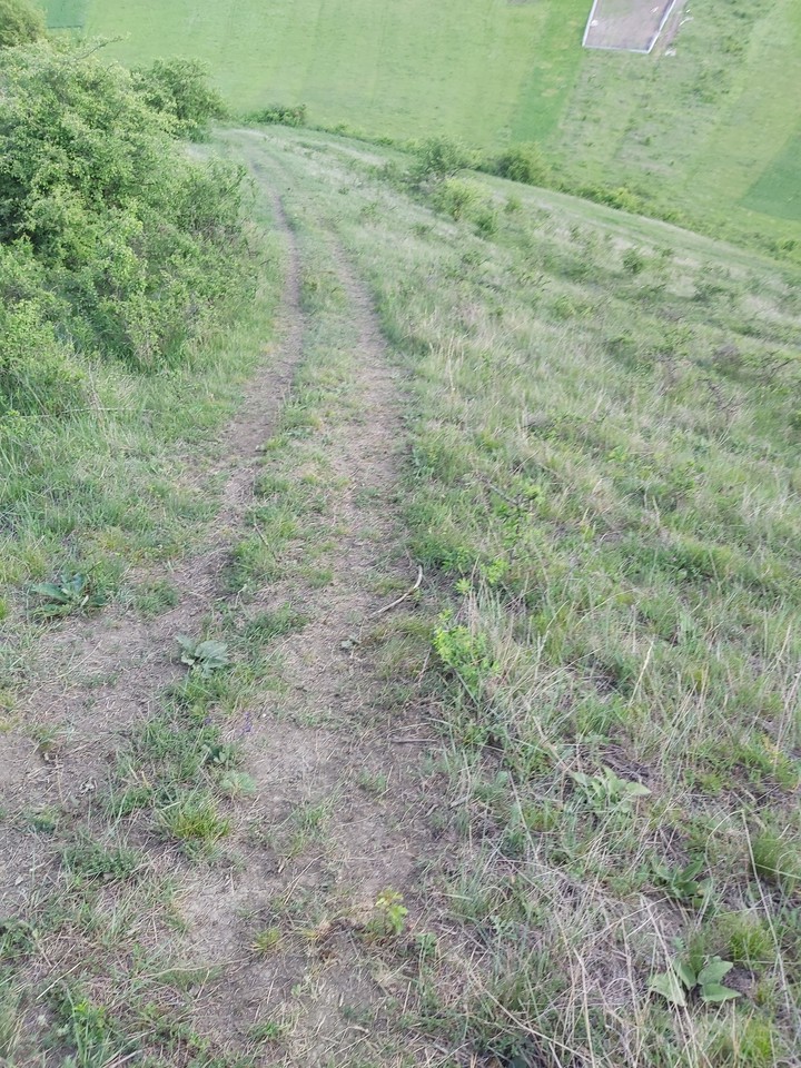 path