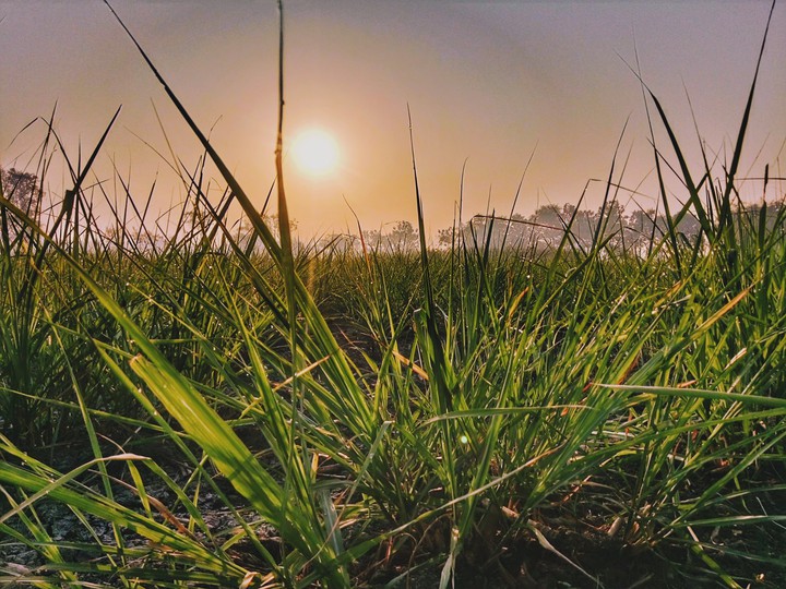 sunrise ?