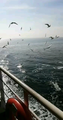 Özgür