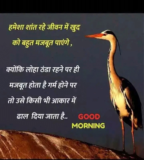 morning