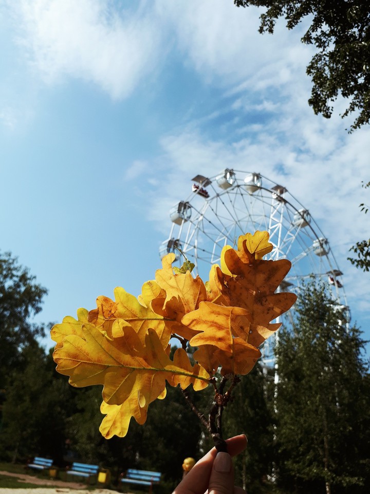 Autumn