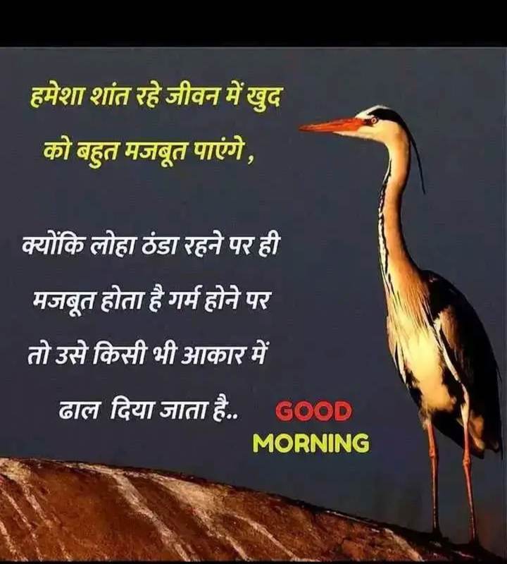 morning