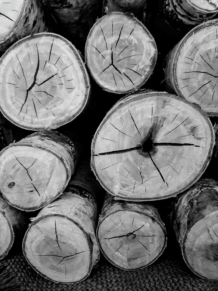 wood