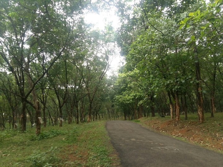 Long Way Ahead