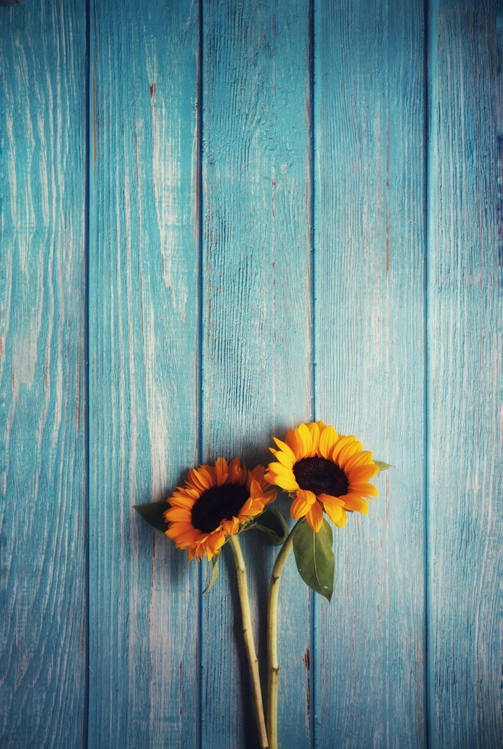 flower..!