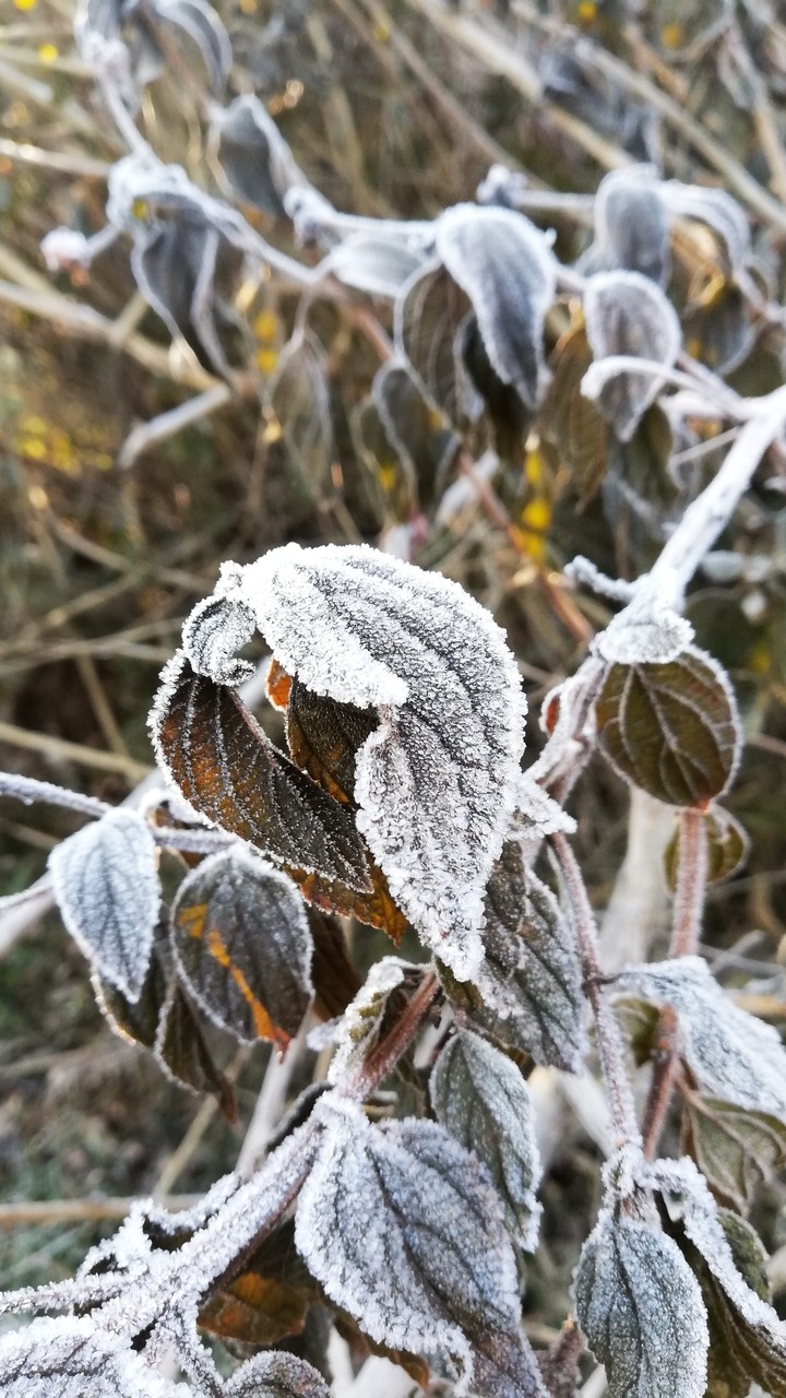 WINTER IS HERE.