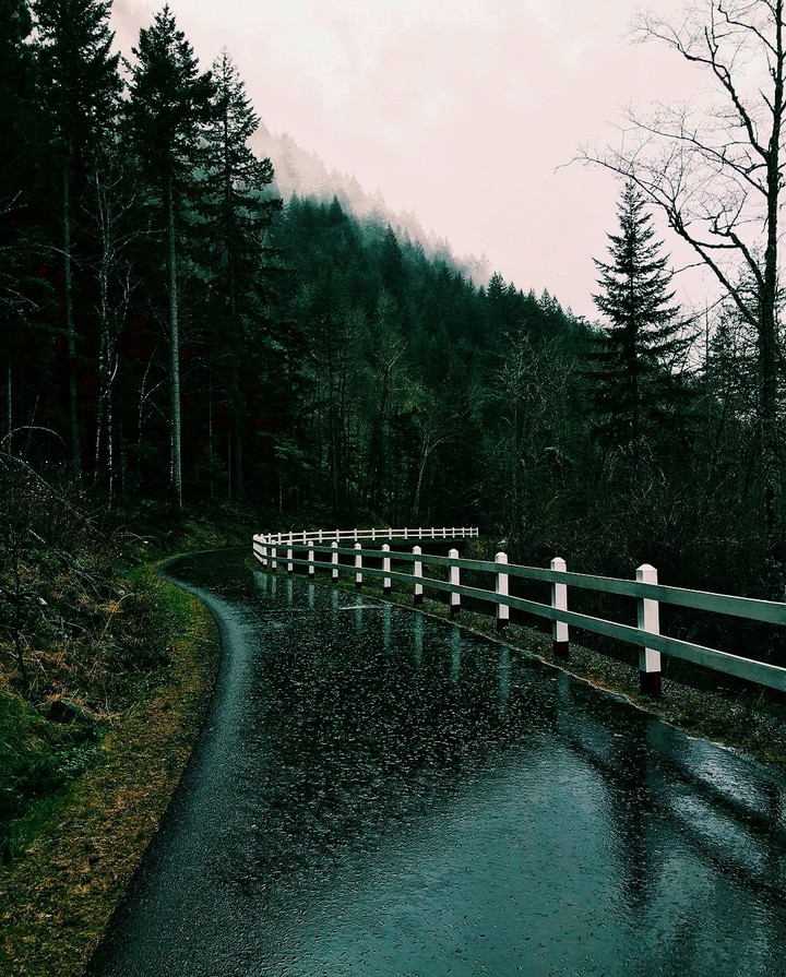 road trip