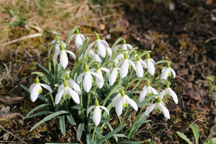 Frühling?