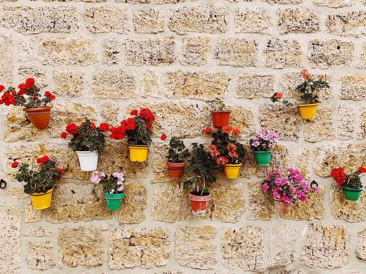Flowers