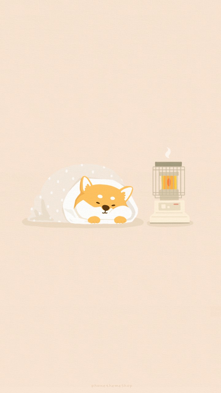 Shiba will sleep