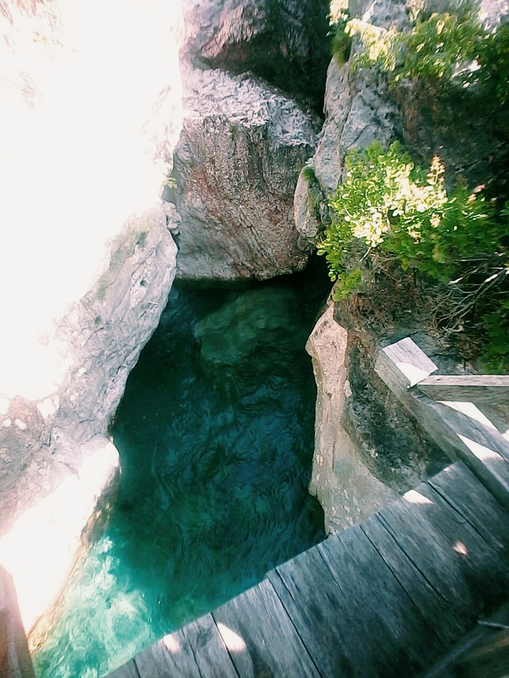 nature