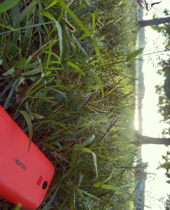 red nature