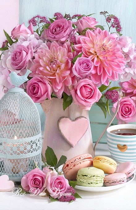 Pink rose