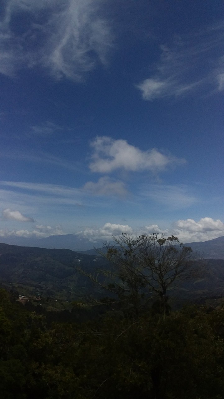 Nature