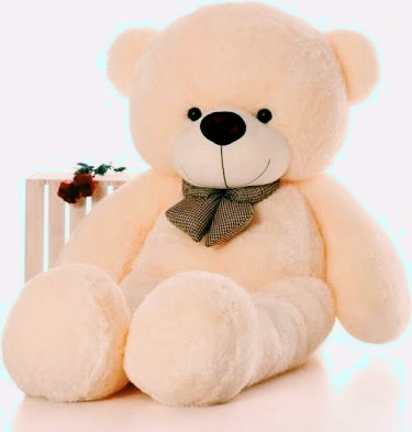teddy
