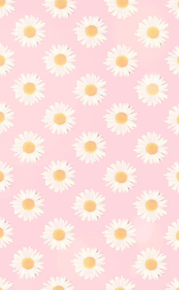 Daisies