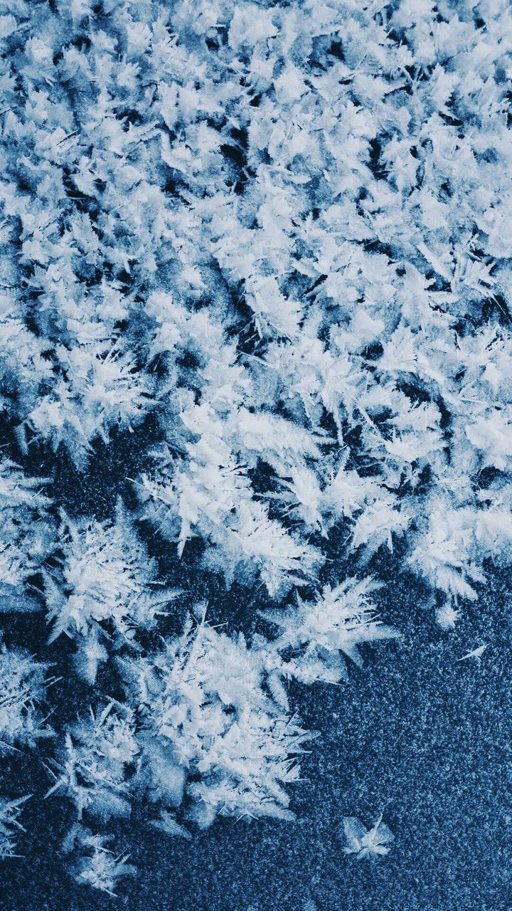 Ice flowers