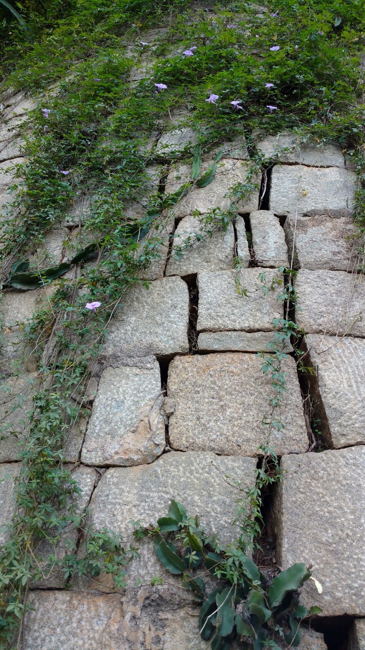 Stone Wall