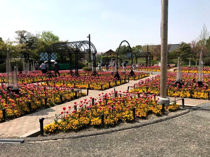 #japan