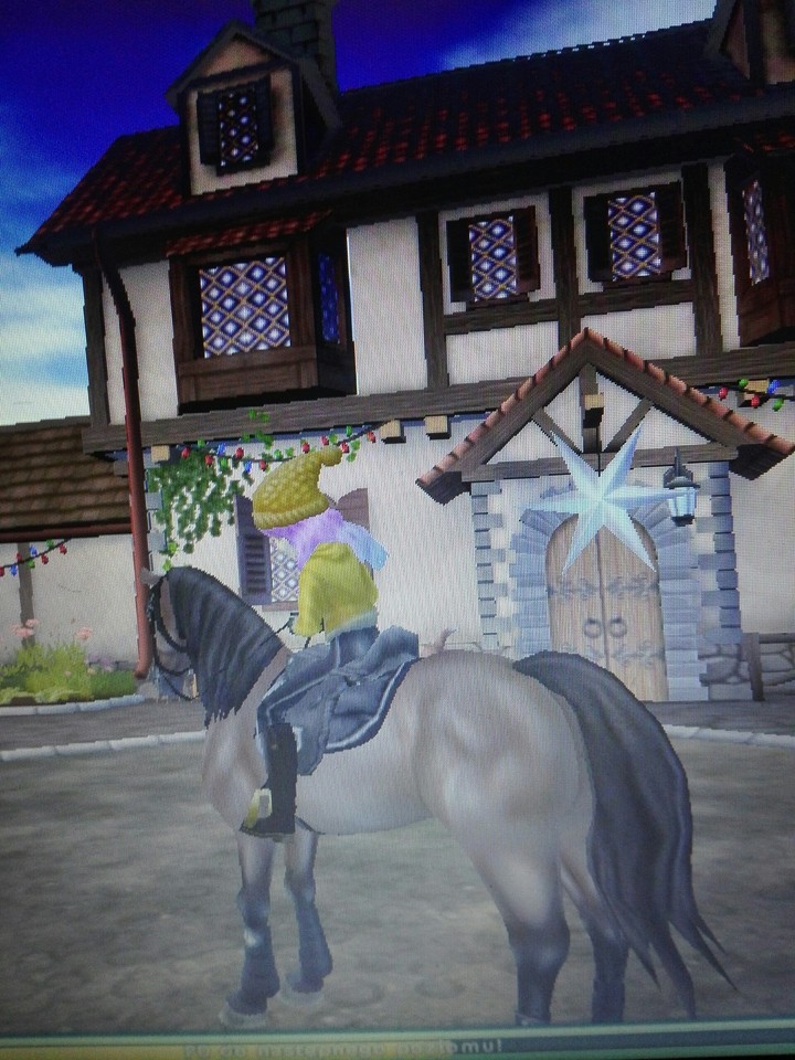 sso - star stable