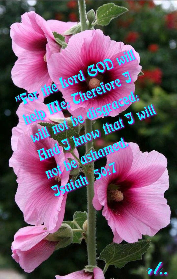 promises