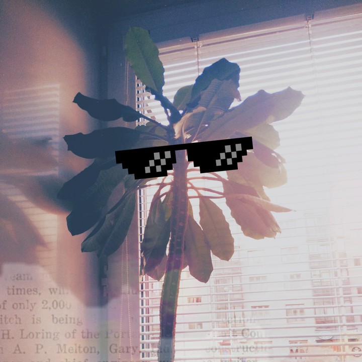 am I cool!