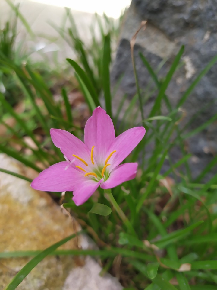nhỏ xinh