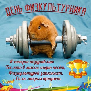 всем ,кто любит спорт!