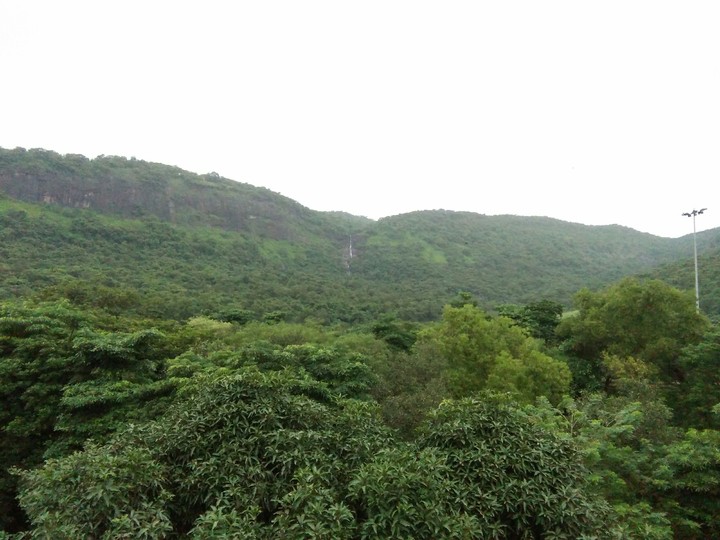 nature