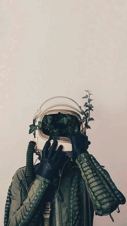 ⭐❄️