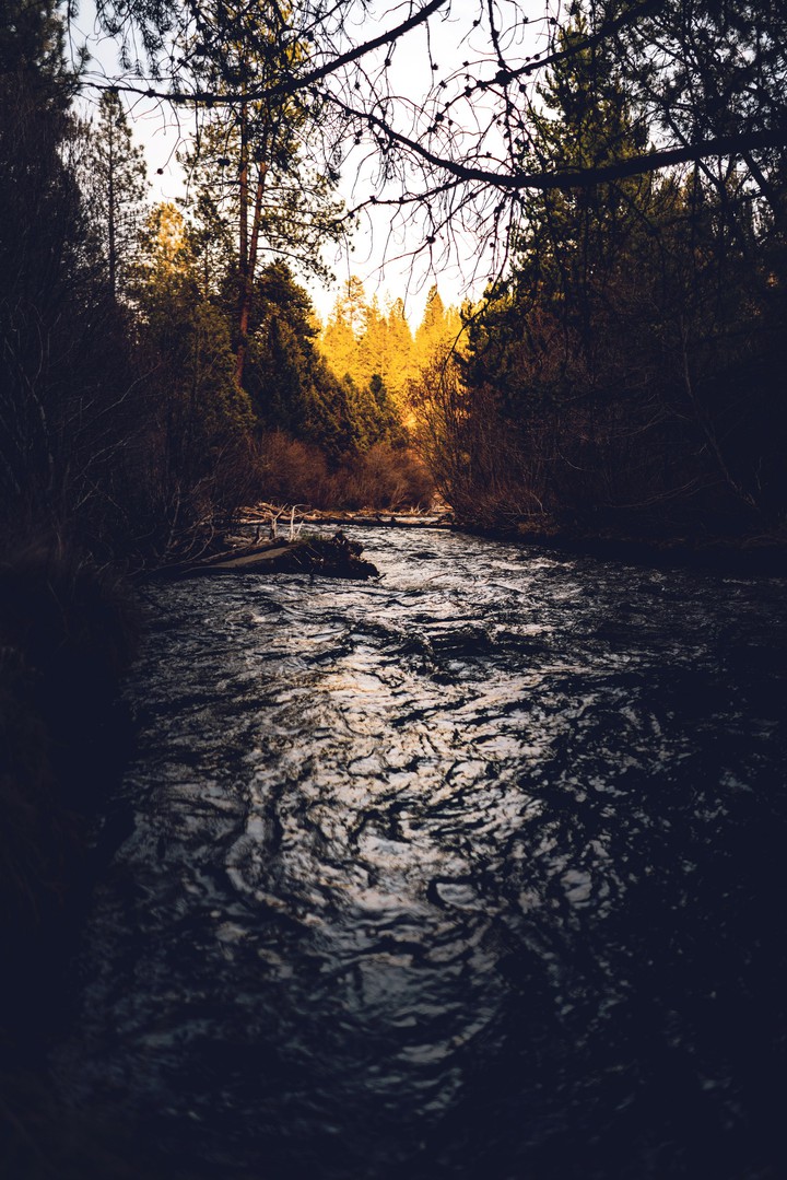nature