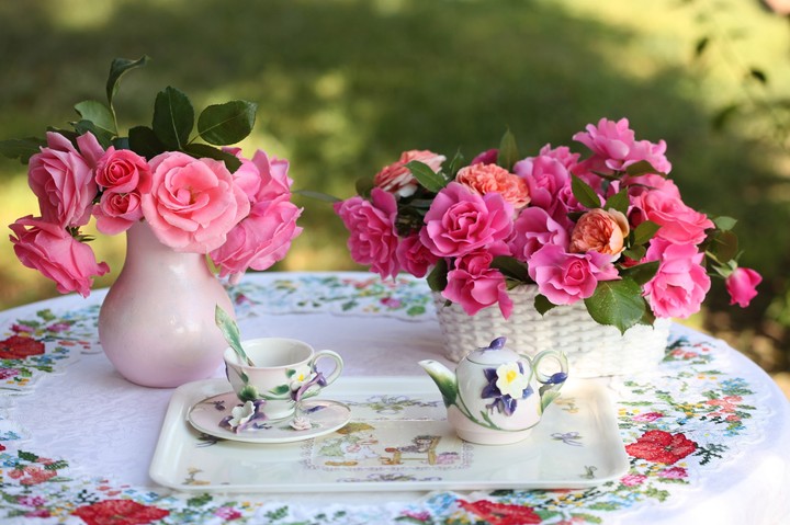 stillife