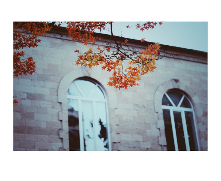 autumn