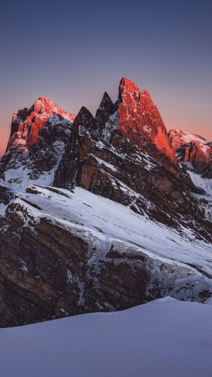 Everest closed up