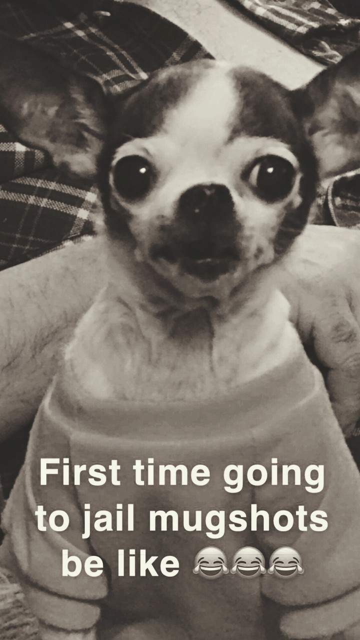 Yoda mugshot