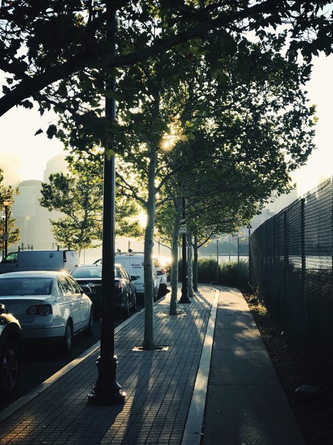 morning shine