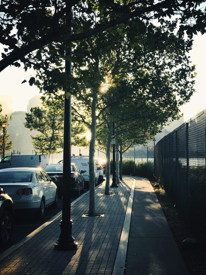 morning shine
