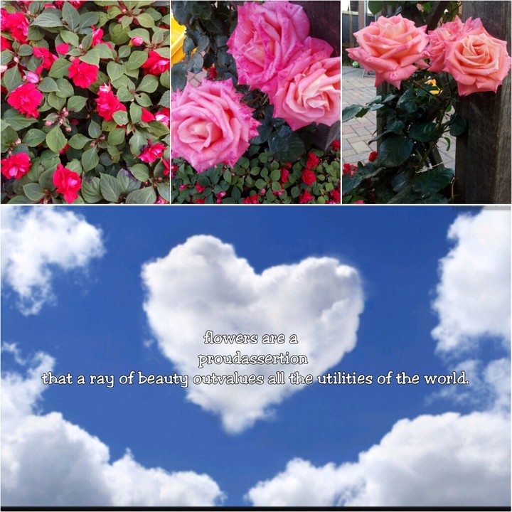 ♥♥♥