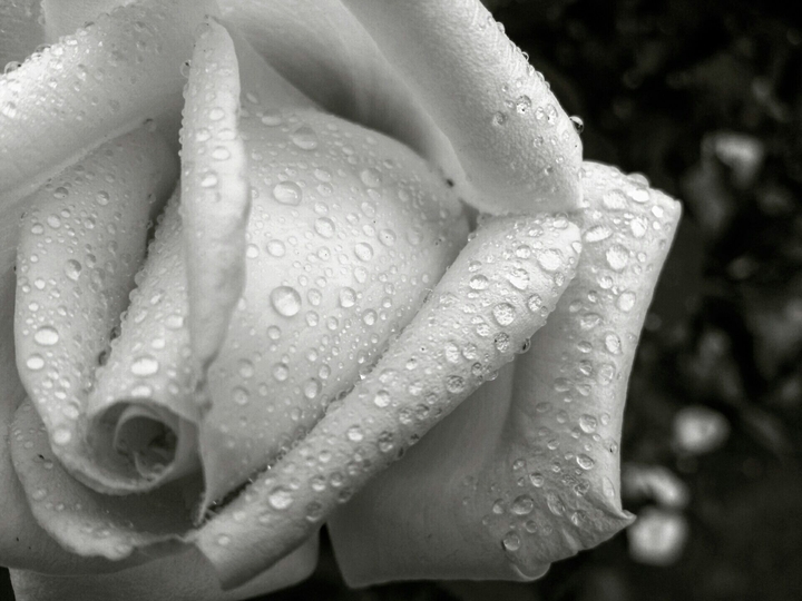 Rainy days
