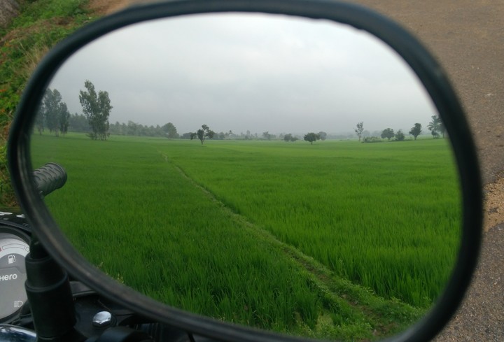 nature