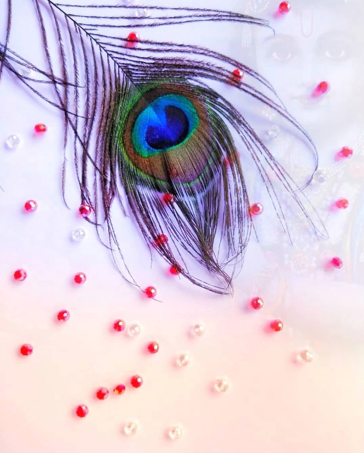 peacock ✳️