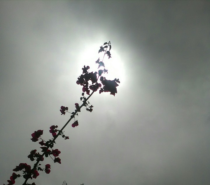 dust and sun