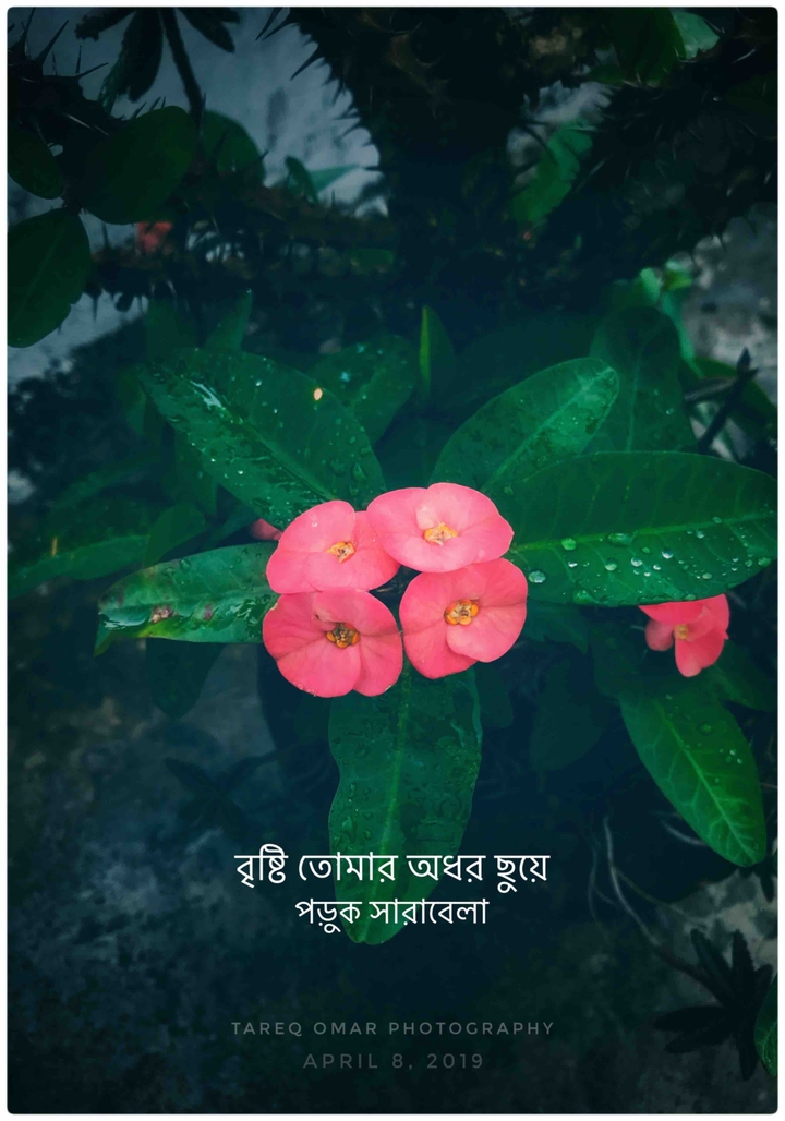 Life in rainy day
