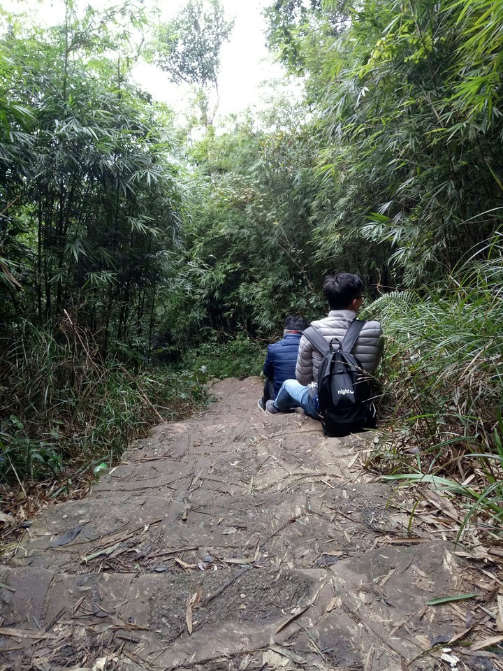 ngọa vân