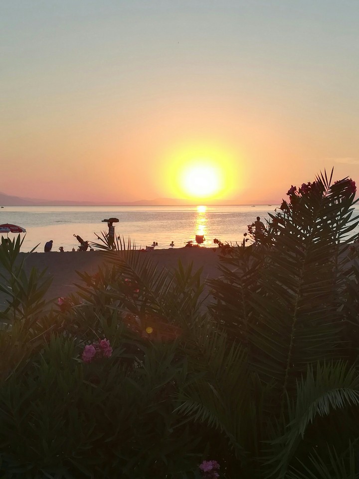sunset