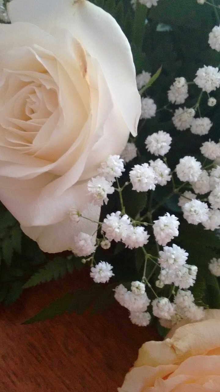 belles fleurs❤