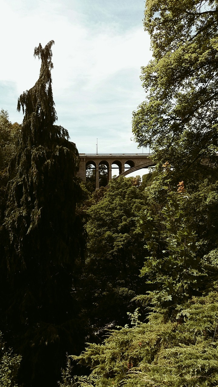 Bridge